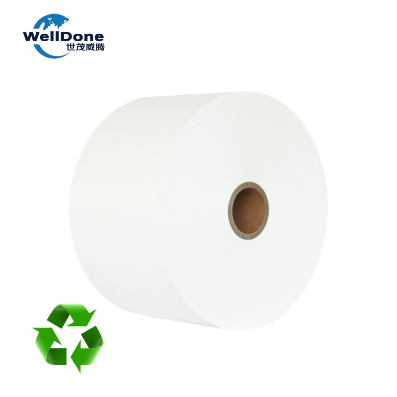 Eco-friendly Biodegradable Sanitary Napkin Back Sheet (2)